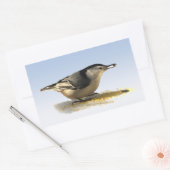 Sticker Rectangulaire Nuthatch à poitrine blanche (Enveloppe)