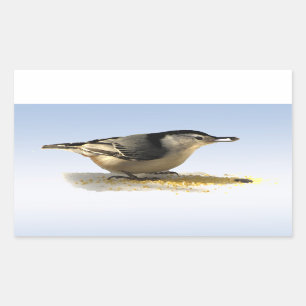 Sticker Rectangulaire Nuthatch à poitrine blanche