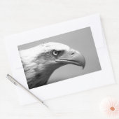 Sticker Rectangulaire Oeil d'aigle noir et blanc (Enveloppe)