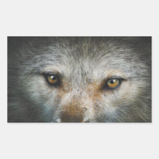 Sticker Rectangulaire Oeil de loup gris étoile Art de la faune (Devant)