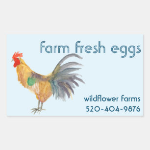 Sticker Rectangulaire OEufs de poulet d'aquarelle à vendre produit perso