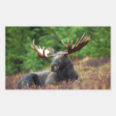 Sticker Rectangulaire Oie (Devant)