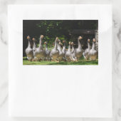Sticker Rectangulaire Oies dans l'autocollant rectangulaire Dordogne (Sac)
