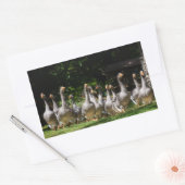 Sticker Rectangulaire Oies dans l'autocollant rectangulaire Dordogne (Enveloppe)