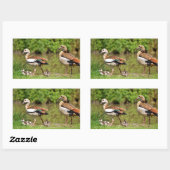 Sticker Rectangulaire Oies égyptiennes et poussins (Feuille)