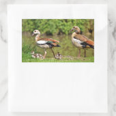 Sticker Rectangulaire Oies égyptiennes et poussins (Sac)