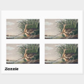 Sticker Rectangulaire Oiseau de Courlis à long bec Audubon (Feuille)