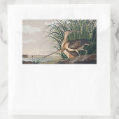 Sticker Rectangulaire Oiseau de Courlis à long bec Audubon (Sac)