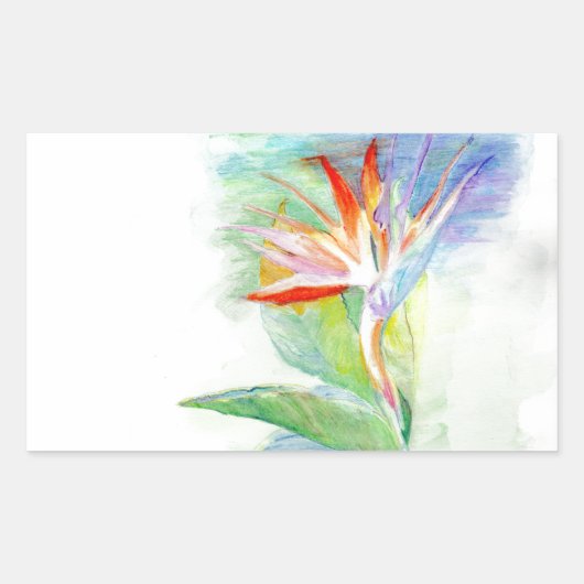 Sticker Rectangulaire Oiseau du Paradis (Devant)