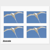 Sticker Rectangulaire Oiseau Paille en Queue Ile Maurice (Feuille)