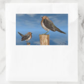 STICKER RECTANGULAIRE OISEAUX HYPER / ROBIN BREAST ROUGE (Sac)