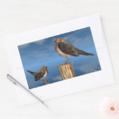 STICKER RECTANGULAIRE OISEAUX HYPER / ROBIN BREAST ROUGE (Enveloppe)