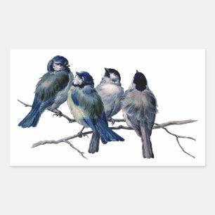 Sticker Rectangulaire Oiseaux vintages sur une branche