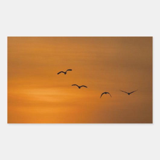 Sticker Rectangulaire Oiseaux volant au coucher du soleil (Devant)