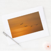 Sticker Rectangulaire Oiseaux volant au coucher du soleil (Enveloppe)