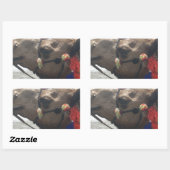 Sticker Rectangulaire Oman Mascate Photo Art (Feuille)