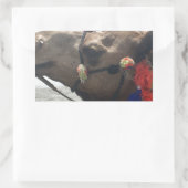 Sticker Rectangulaire Oman Mascate Photo Art (Sac)