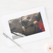 Sticker Rectangulaire Oman Mascate Photo Art (Enveloppe)