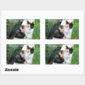 Sticker Rectangulaire Opera Phantom Chat (Feuille)