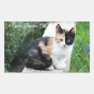 Sticker Rectangulaire Opera Phantom Chat
