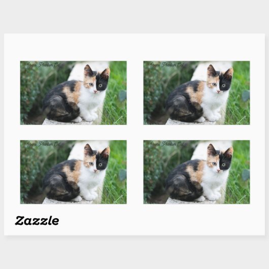 Sticker Rectangulaire Opera Phantom Chat (Feuille)