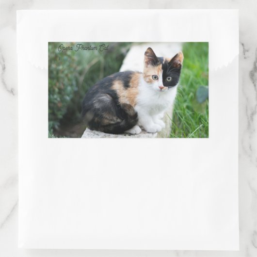 Sticker Rectangulaire Opera Phantom Chat (Sac)