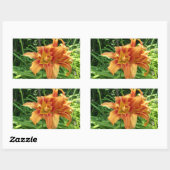 Sticker Rectangulaire Orange Daylily Flowers Horizontal (Feuille)
