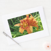 Sticker Rectangulaire Orange Daylily Flowers Horizontal (Enveloppe)