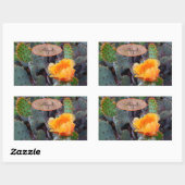 Sticker Rectangulaire Orange Fleur Cactus Blossom Opuntia Prickear (Feuille)