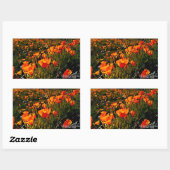 Sticker Rectangulaire Orange Mexicain Poppies d'or fleurit au printemps (Feuille)