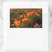 Sticker Rectangulaire Orange Mexicain Poppies d'or fleurit au printemps (Sac)