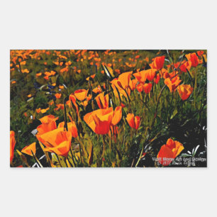 Sticker Rectangulaire Orange Mexicain Poppies d'or fleurit au printemps