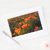 Sticker Rectangulaire Orange Mexicain Poppies d'or fleurit au printemps (Enveloppe)