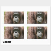Sticker Rectangulaire Orangoutan (Feuille)