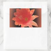 Sticker Rectangulaire Orchidée Cactus - Epiphyllum Ackermannii - Blossom (Sac)