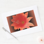 Sticker Rectangulaire Orchidée Cactus - Epiphyllum Ackermannii - Blossom (Enveloppe)