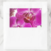 Sticker Rectangulaire Orchidée de Dendrobium de roses indien - arrière - (Sac)