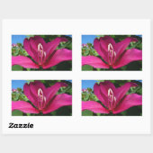 Sticker Rectangulaire Orchidée Fleurie tropicale Florale (Feuille)