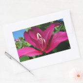 Sticker Rectangulaire Orchidée Fleurie tropicale Florale (Enveloppe)