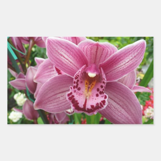 Sticker Rectangulaire Orchidée Violette Élégante Botanique Florale (Devant)