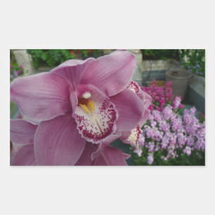 Sticker Rectangulaire Orchidée violette et jardin coloré Floral