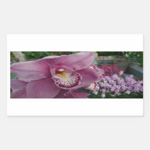 Sticker Rectangulaire Orchidée violette et jardin coloré Floral