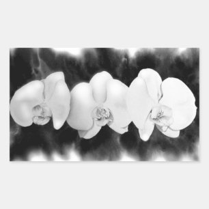 Sticker Rectangulaire Orchidées élégantes noir blanc aquarelle