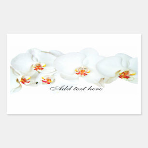 Sticker Rectangulaire Orchidées Love_