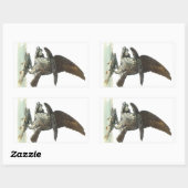 Sticker Rectangulaire Osprey par Audubon (Feuille)