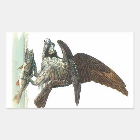 Sticker Rectangulaire Osprey par Audubon (Devant)
