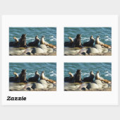 Sticker Rectangulaire Otaries de San Diego (Feuille)
