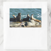 Sticker Rectangulaire Otaries de San Diego (Sac)