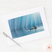 Sticker Rectangulaire Otter de mer joueuse (Enveloppe)