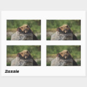 Sticker Rectangulaire ours (Feuille)